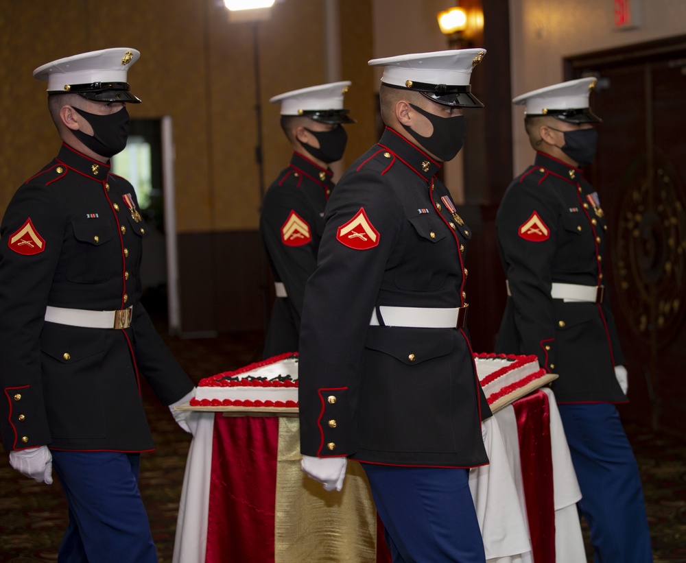 245th Marine Corps Birthday
