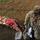 181st Infantry Brigade Best Warrior Competition