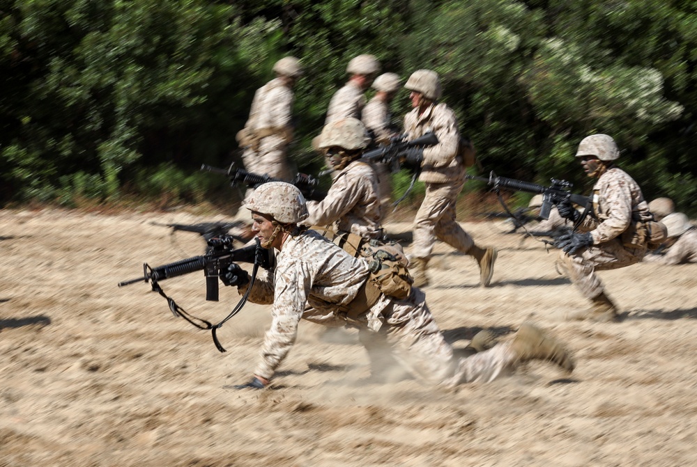 Kilo Company BWT