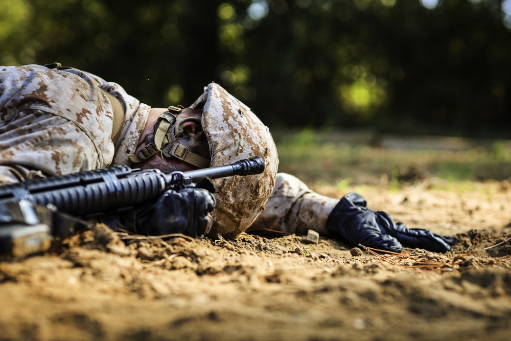 Kilo Company BWT