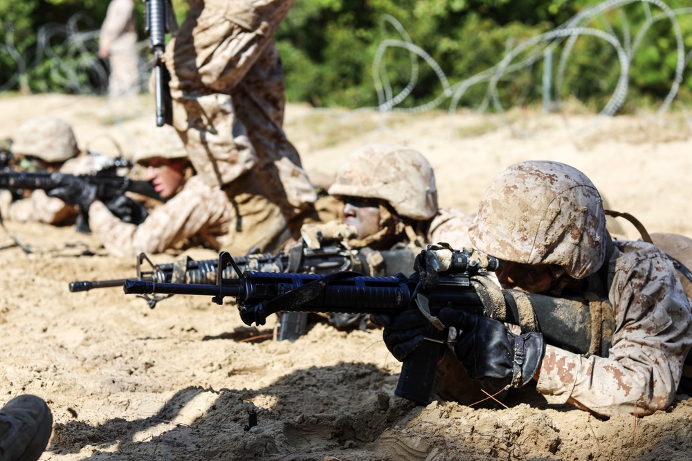 Kilo Company BWT