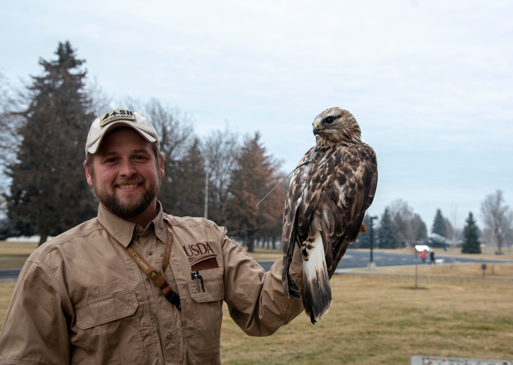 BASH program saves birds and aircraft
