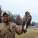 BASH program saves birds and aircraft