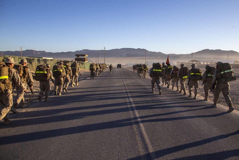 MWSS 373 “ACE Support” celebrates the Marine Corps birthday on Camp Wilson