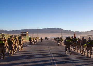 MWSS 373 “ACE Support” celebrates the Marine Corps birthday on Camp Wilson