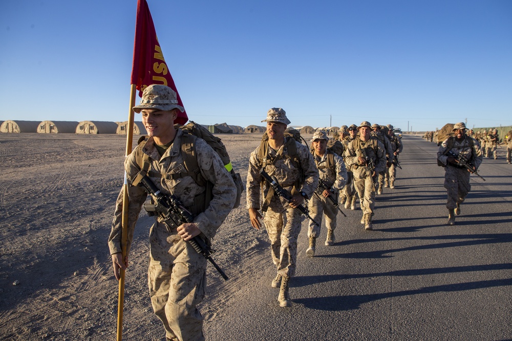 MWSS 373 “ACE Support” celebrates the Marine Corps birthday on Camp Wilson