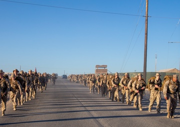 MWSS 373 “ACE Support” celebrates the Marine Corps birthday on Camp Wilson