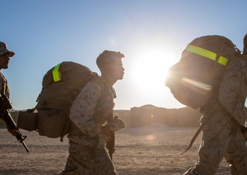 MWSS 373 “ACE Support” celebrates the Marine Corps birthday on Camp Wilson