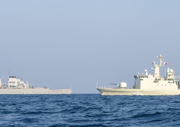 Coalition Task Force Sentinel Celebrates First Anniversary