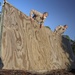 Lima Company Confidence Course