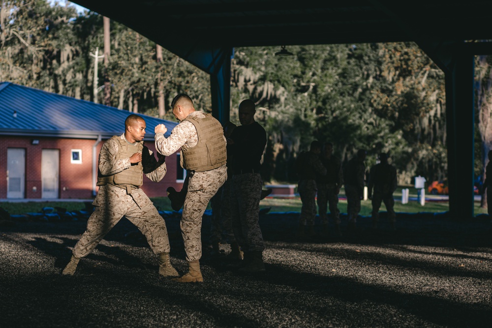 Martial Arts Instructor Course Physical Training