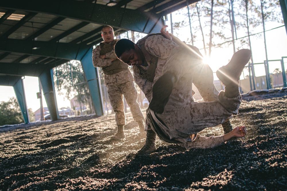 Martial Arts Instructor Course Physical Training