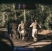 Martial Arts Instructor Course Physical Training