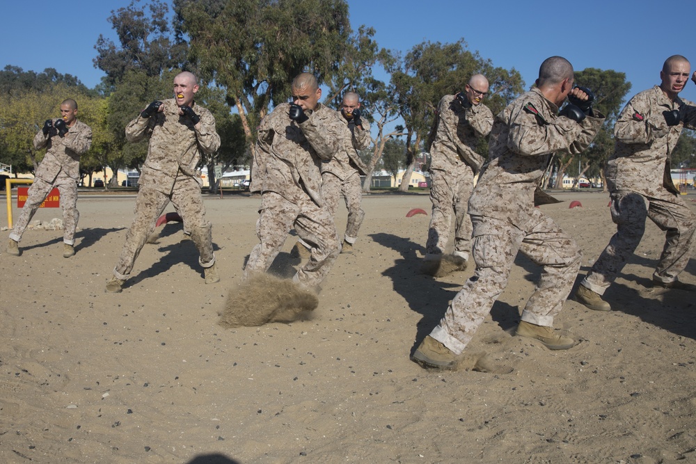 Charlie Company Combat Conditioning Course