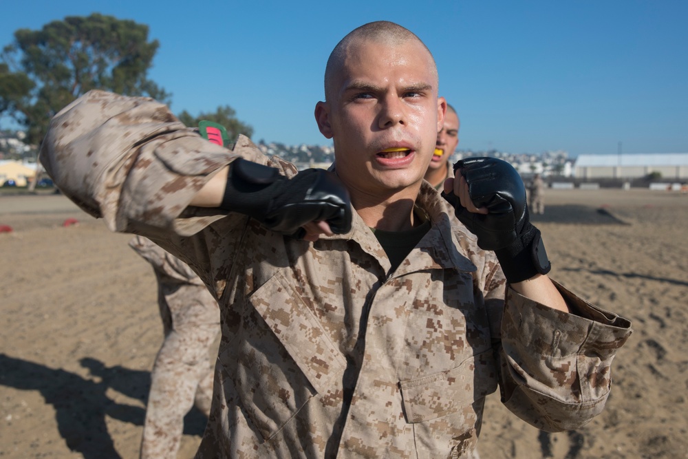 Charlie Company Combat Conditioning Course