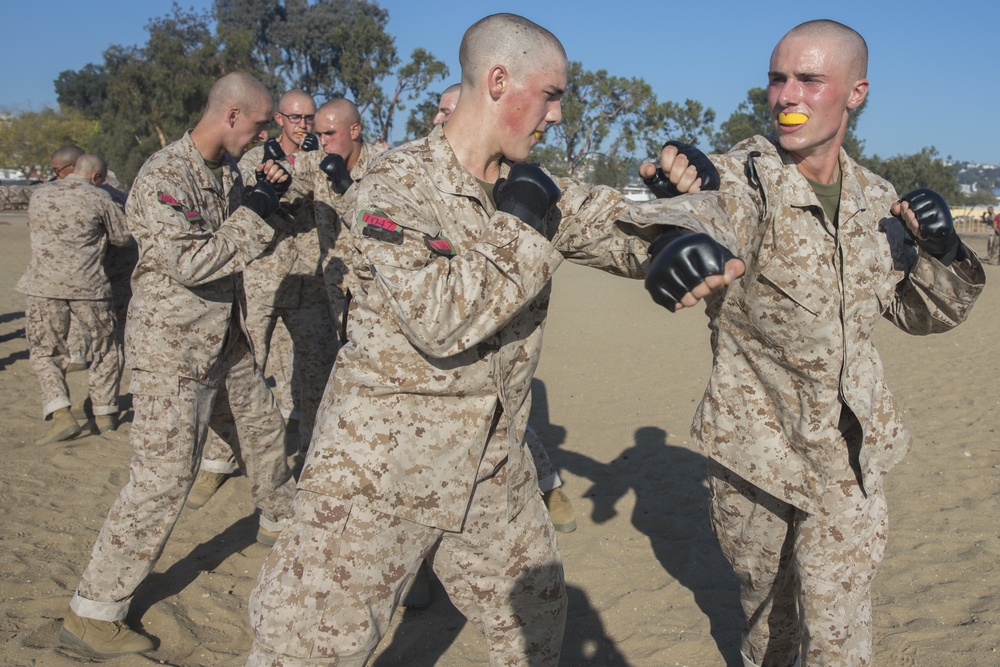 Charlie Company Combat Conditioning Course