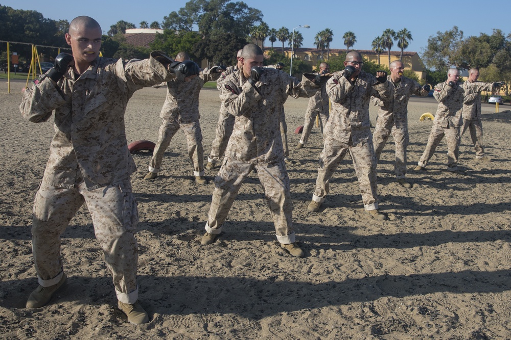 Charlie Company Combat Conditioning Course