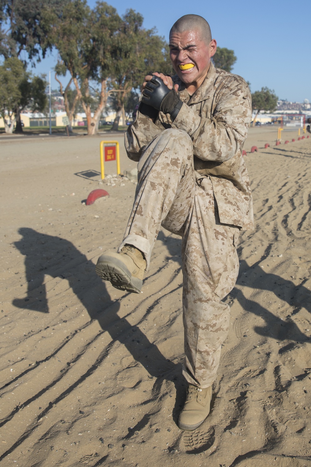 Charlie Company Combat Conditioning Course