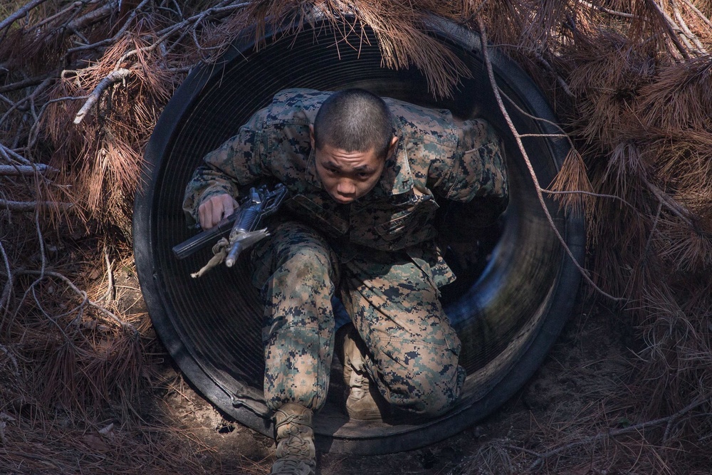 2nd Marine Logistics Group Marines conduct tactical combat casualty care during MEFEX 21.1