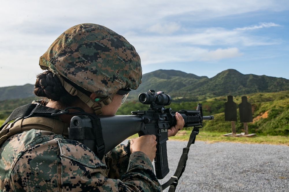Det 18, 31st MEU perform live fire training