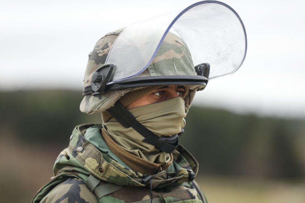 DVIDS - Images - Moldovan Army conducts crowd control training [Image 3 ...