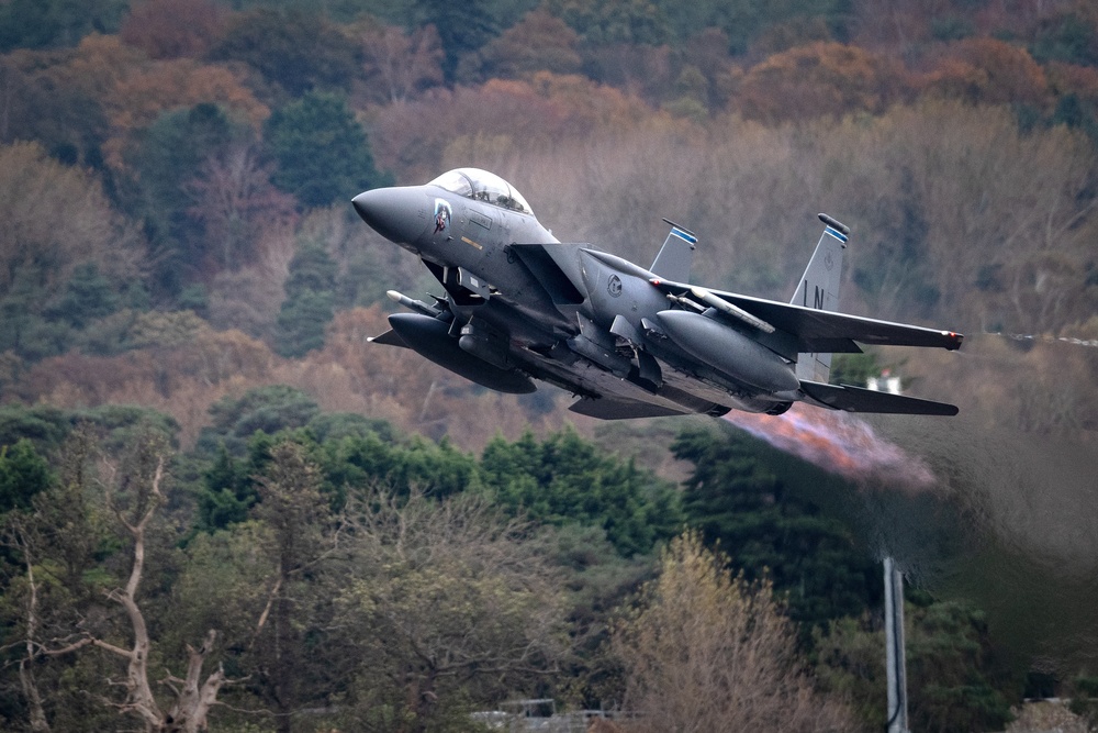 Strike Eagle's stay postured