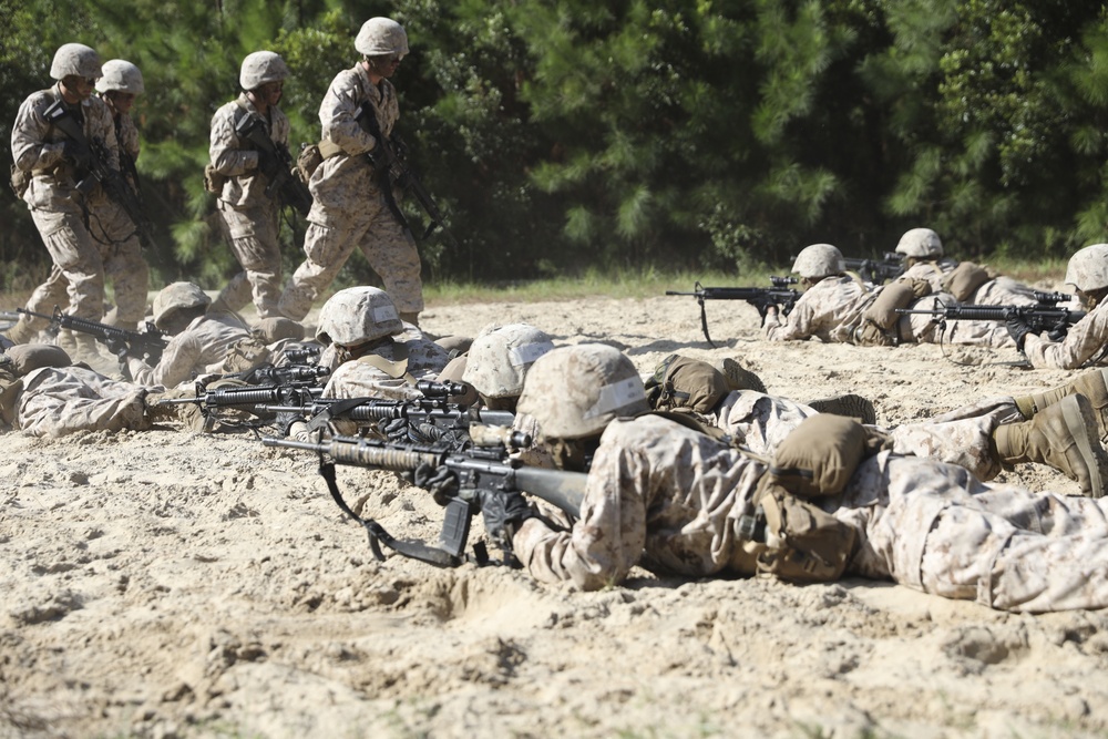 Kilo Company BWT