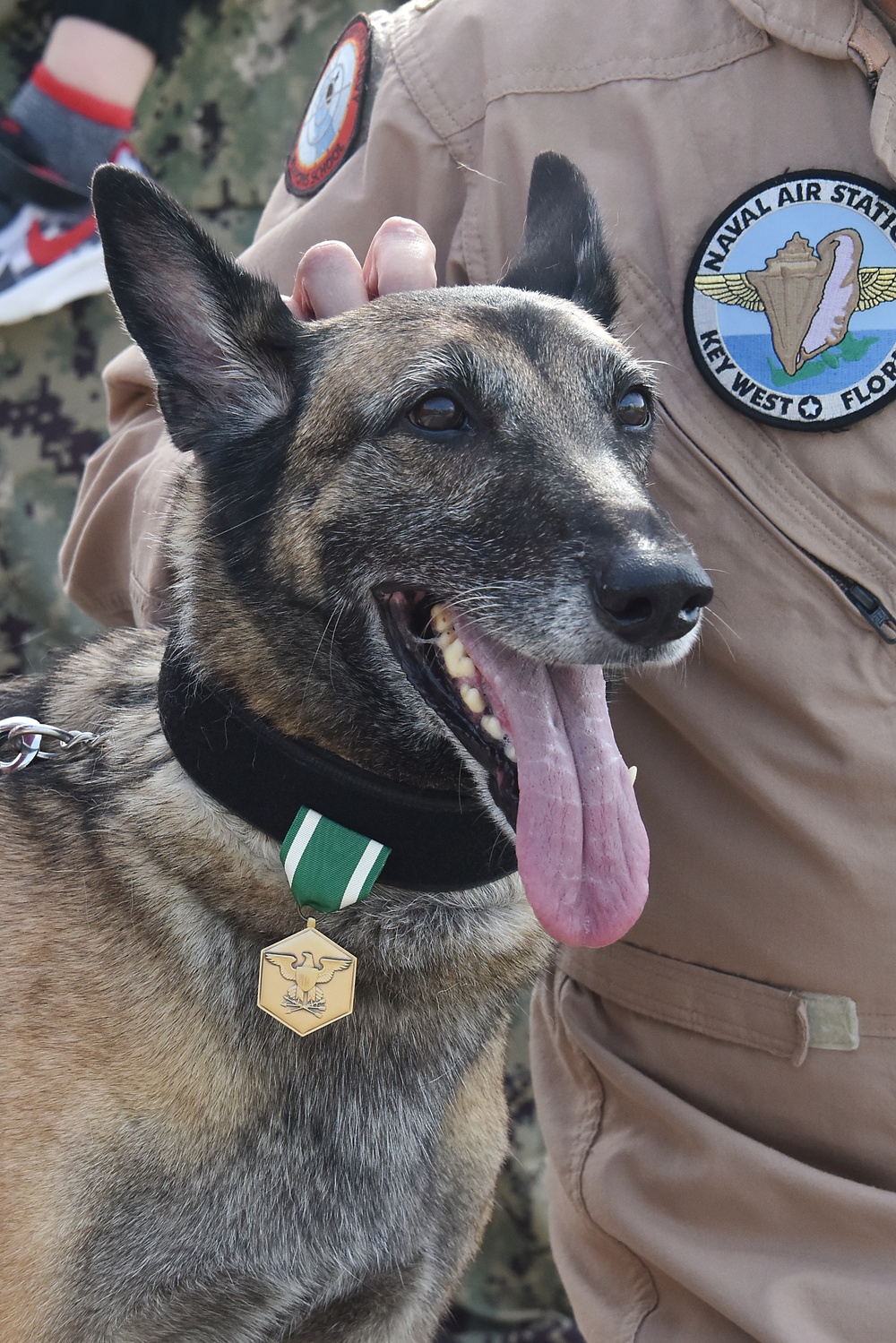 Military Working Dog retires from NAS Key West