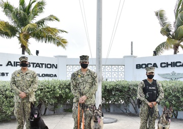 Military Working Dog retires from NAS Key West