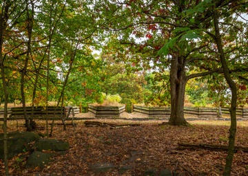 Fort Lee