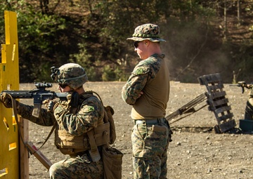 U.S. Marines participate in advanced marksmanship drills during exercise Fuji Viper 21.1