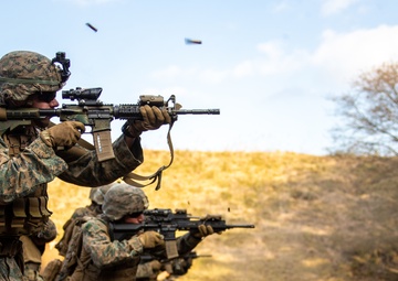 U.S. Marines participate in advanced marksmanship drills during exercise Fuji Viper 21.1