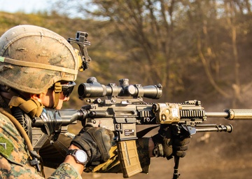 U.S. Marines participate in advanced marksmanship drills during exercise Fuji Viper 21.1