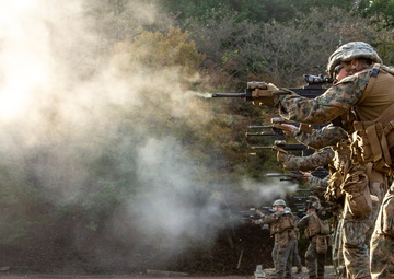 U.S. Marines participate in advanced marksmanship drills during exercise Fuji Viper 21.1