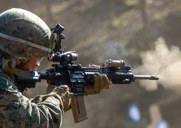U.S. Marines participate in advanced marksmanship drills during exercise Fuji Viper 21.1