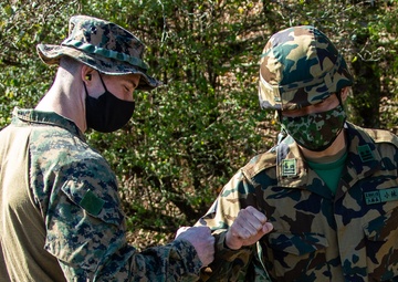 U.S. Marines participate in advanced marksmanship drills during exercise Fuji Viper 21.1