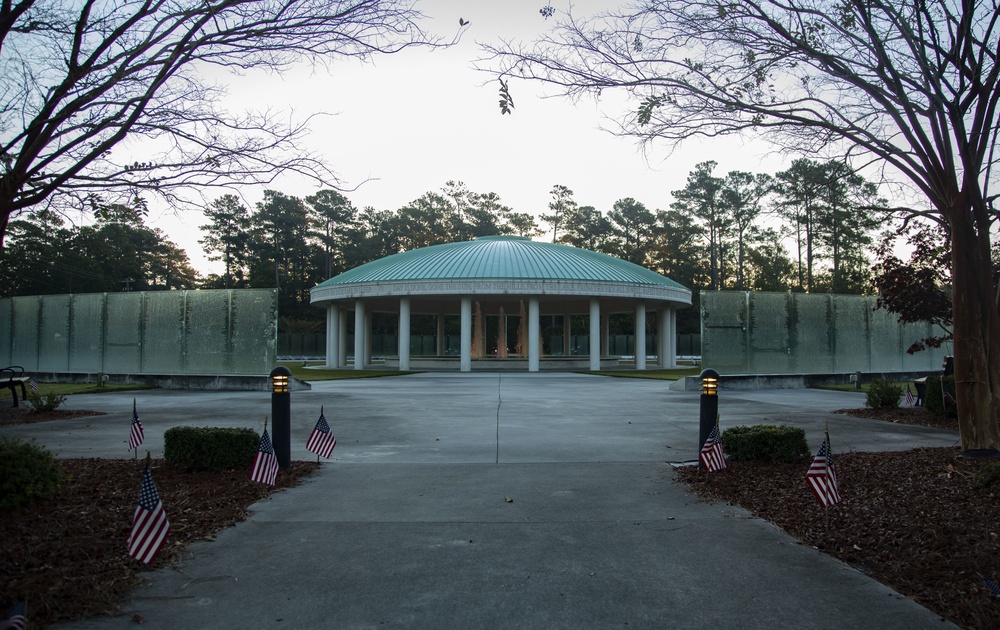 Veterans Day: paying tribute to honorable service