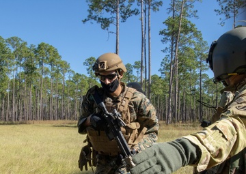 Marne Air Soldiers conduct Dogs of War exercise on Fort Stewart