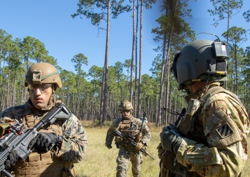 Marne Air Soldiers conduct Dogs of War exercise on Fort Stewart