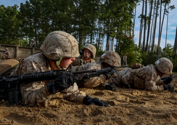 Bravo and Oscar Company Crucible