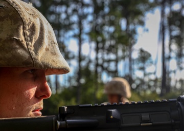 Bravo and Oscar Company Crucible