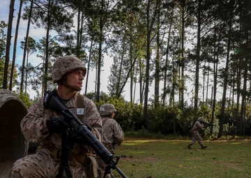 Bravo and Oscar Company Crucible