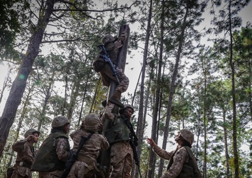 Bravo and Oscar Company Crucible