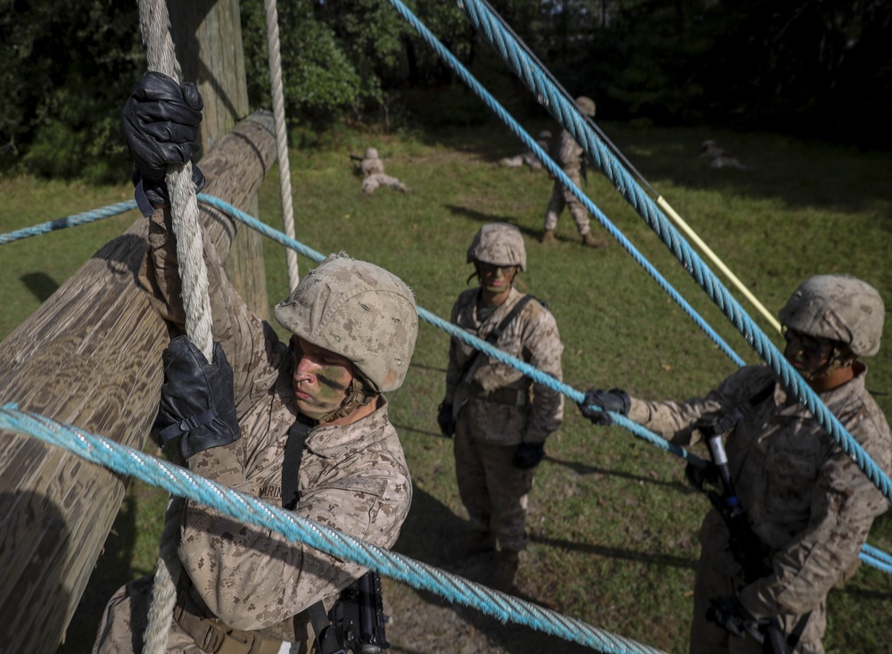 Bravo and Oscar Company Crucible