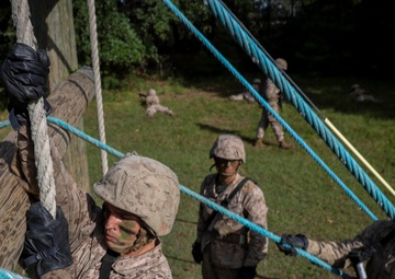 Bravo and Oscar Company Crucible