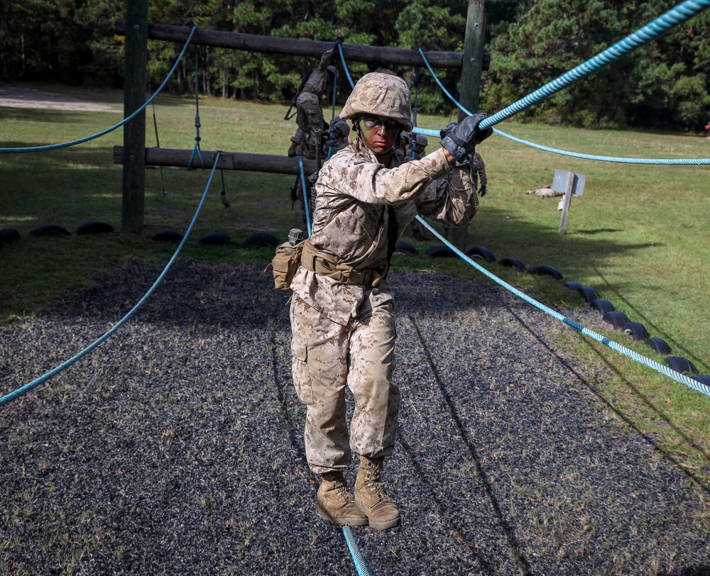 Bravo and Oscar Company Crucible