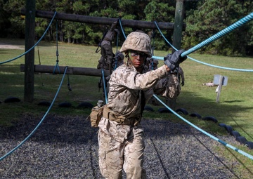 Bravo and Oscar Company Crucible