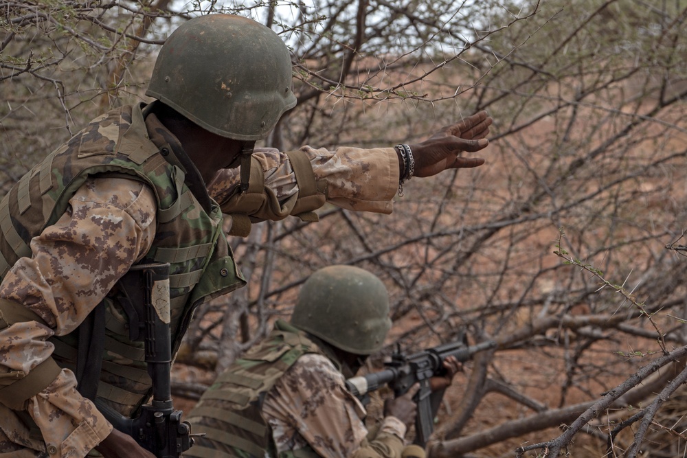 SFAB teaches BIR platoon level tactics