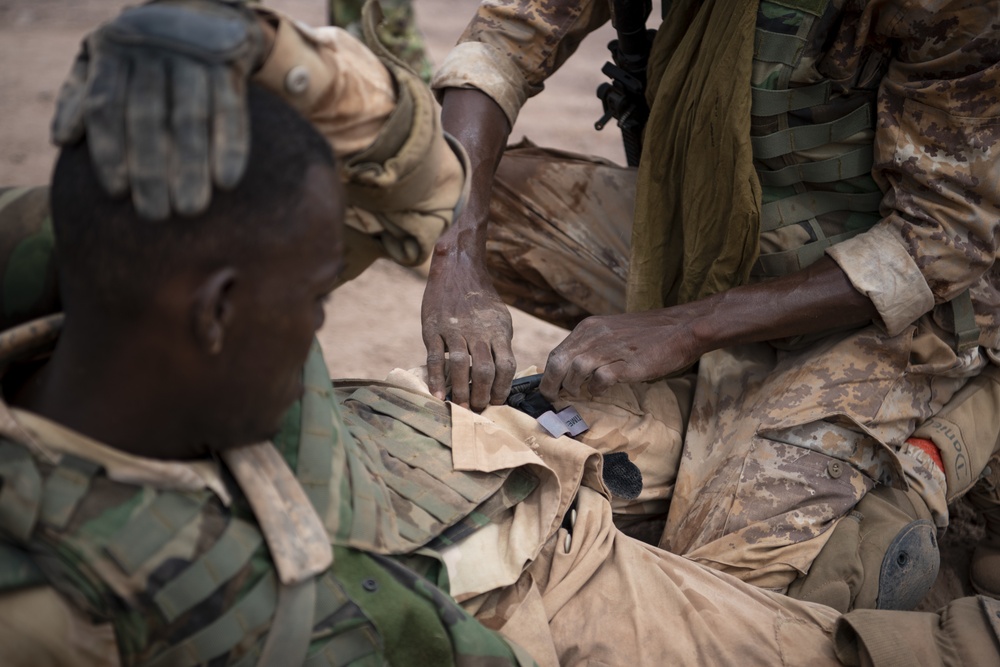 SFAB teaches BIR platoon level tactics