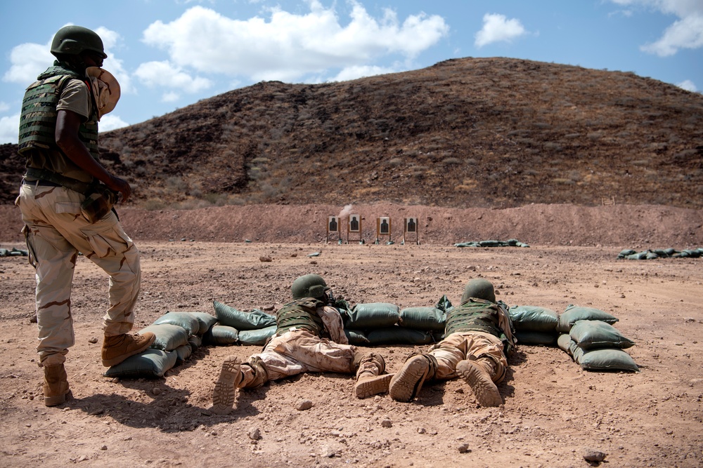 SFAB teaches BIR platoon level tactics